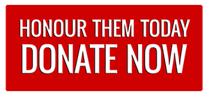 Donate Now Button