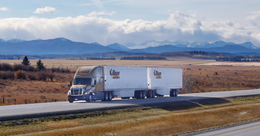 Bison Freightliner Evolution LCV