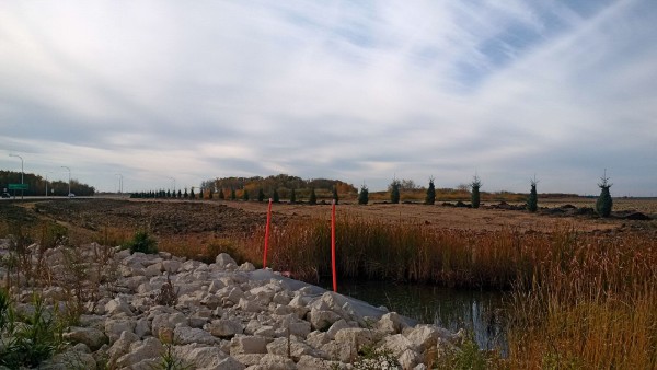 Trees for Tomorrow along CentrePort Canada Way