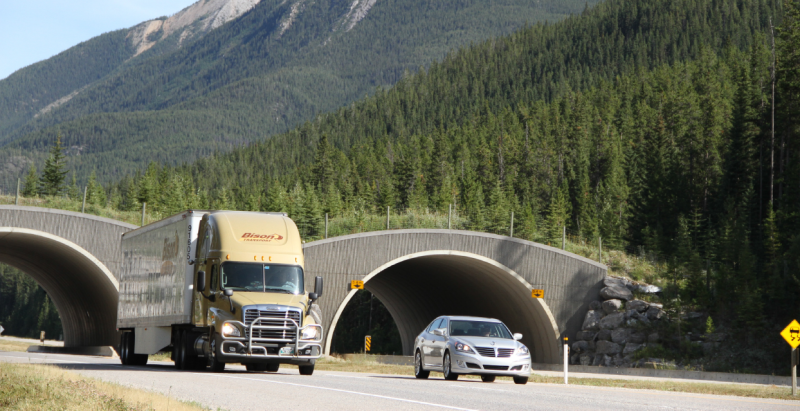 Sharing the Road With Trucks